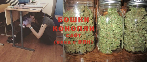 гидра Алзамай
