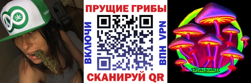 Псилоцибиновые грибы Psilocybe  Далматово 